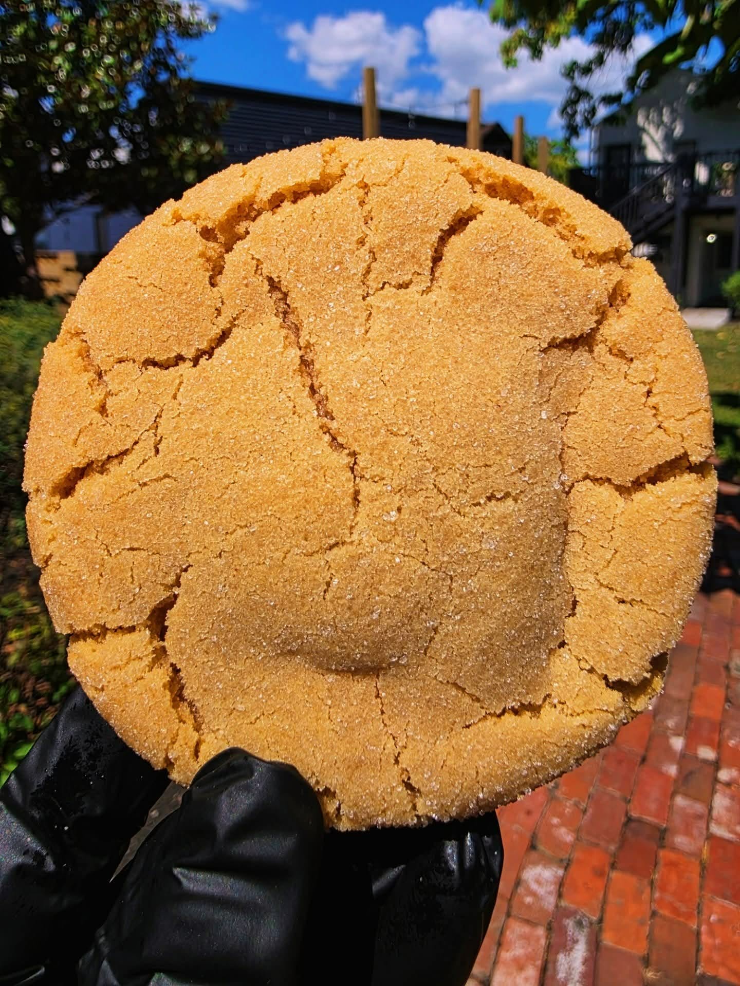 Bertos-Classic-PB-Cheesecake-Filled-Cookie