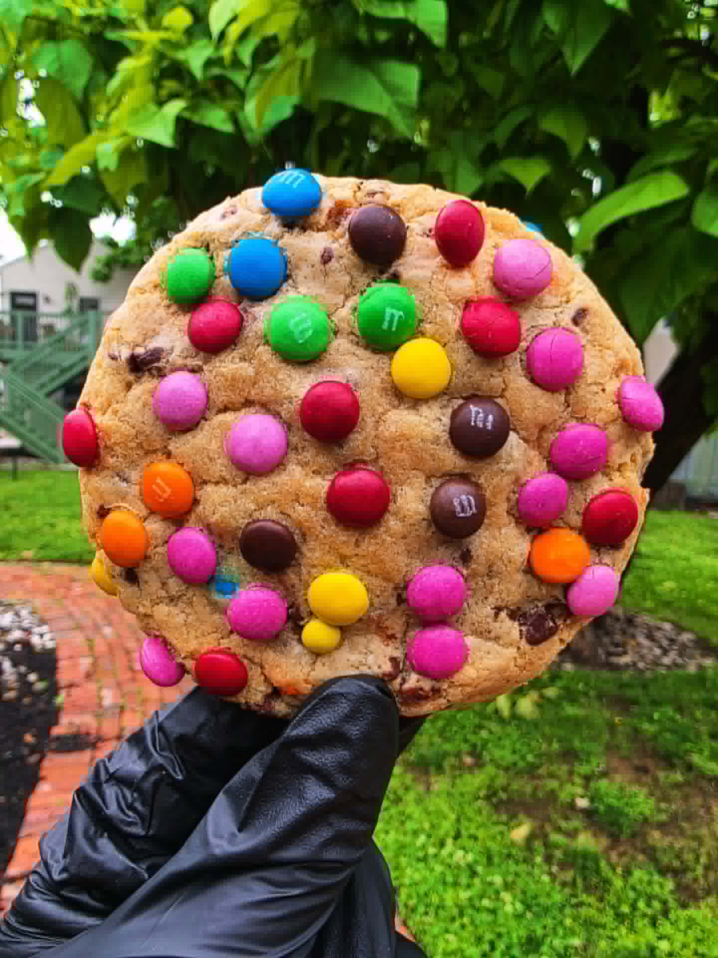 Choc-Chip-M&M-Cheesecake-Filled-Cookie