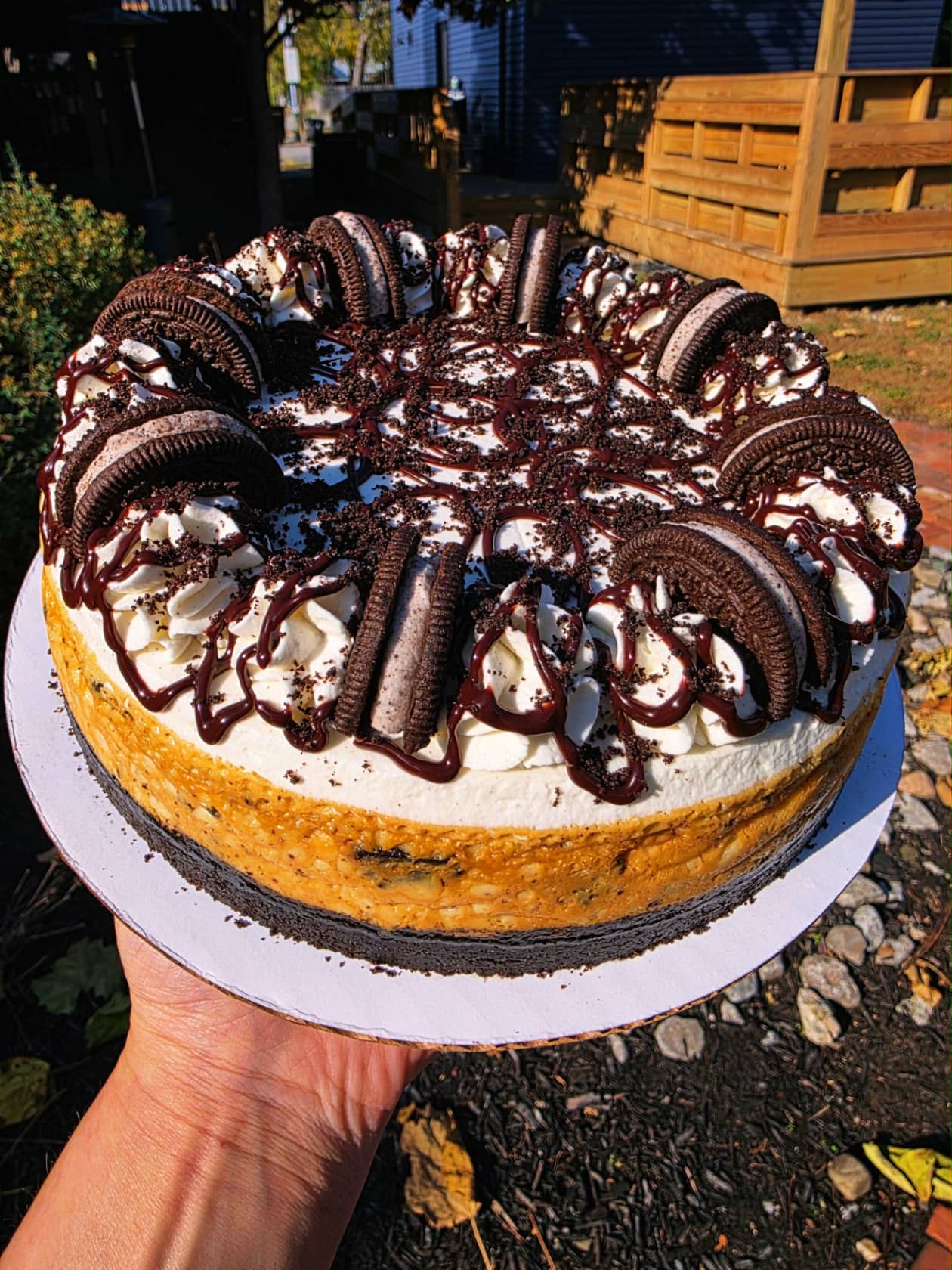 Whole-Loaded-Oreo-Cheesecake